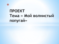 Презентация проекта учащегося Мой волнистый попугай