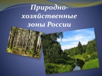 Презентация по географии на тему Природно-хозяйственные зоны России (8 класс)