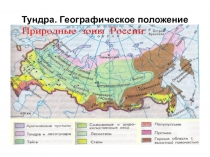Презентация по окружающему миру на тему Природные зоны . Тундра