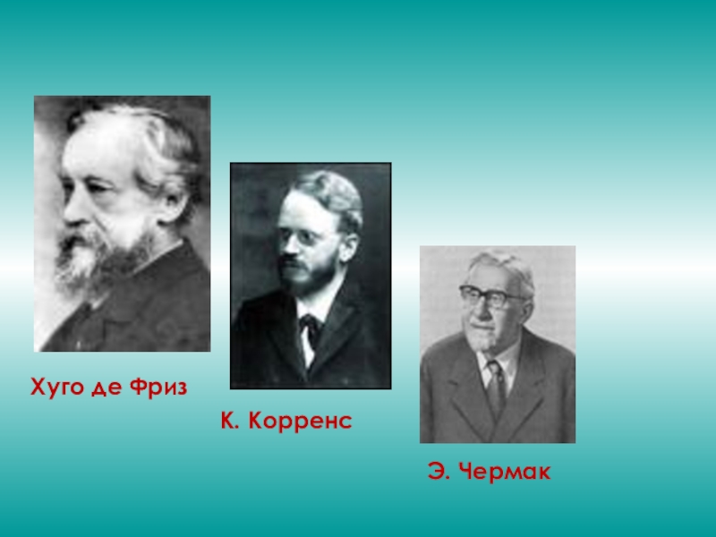 Хуго де фриз. Хуго де фриз генетика. Фриз Корренс Чермак генетика. Э Чермак.