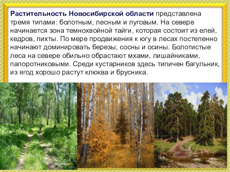 Информация о новосибирской области