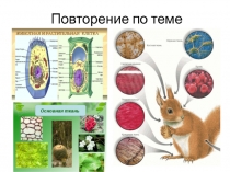 Презентация к уроку биологии. Повторение. Клетка. Ткани. 6 класс
