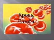 Презентация по биологии Кровь. лимфа