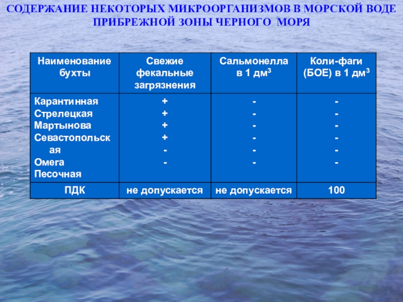 Какая температура в черном море. Экология черного моря презентация. Температура воды в черном море. Микроорганизмы черного моря названия. Фекальные зоны черного моря.