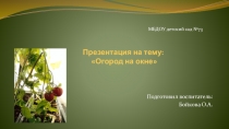 Презентация по экологии на тему Огород на окне (вторая младшая группа)
