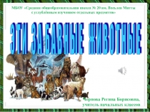 Презентация к игре Эти забавные животные (3 класс)