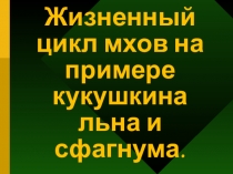 Презентация по биологии на тему: Жизненный цикл мхов на примере кукушкина льна и сфагнума (7 класс).