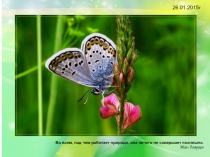 Презентация по биологии 5 класс