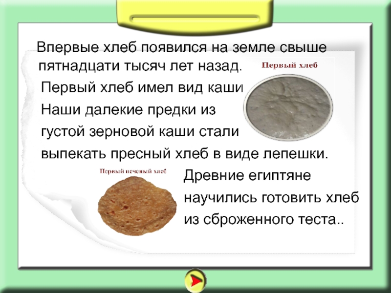 Первый хлеб. Хлеб появился на земле свыше пятнадцати. Первый хлеб на земле. Где впервые появился хлеб.