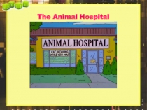 Презентация THE ANIMAL HOSPITAL Spotlight 4