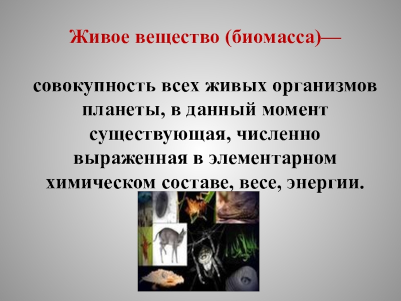 Совокупность всех живых организмов. Живое вещество. Живое вещество совокупность всех живых организмов. Биомасса совокупность всех живых организмов. Живое вещество планеты.