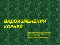 Презентация по биологии на тему: Видоизменения корней