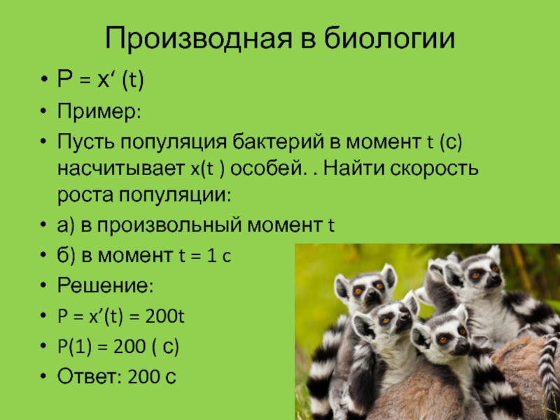 Решение задач по биологии. Производная в биологии. Применение производной в биологии. Производная в биологии презентация. Задачи с производной в биологии.