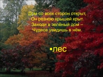 Презентация по окружающему миру на тему Значение лесов