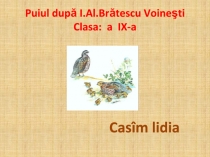 Pezentaţie Power Point,,Puiul de I.A.Brătescu-Voineşti. clasa 9 alolingvă