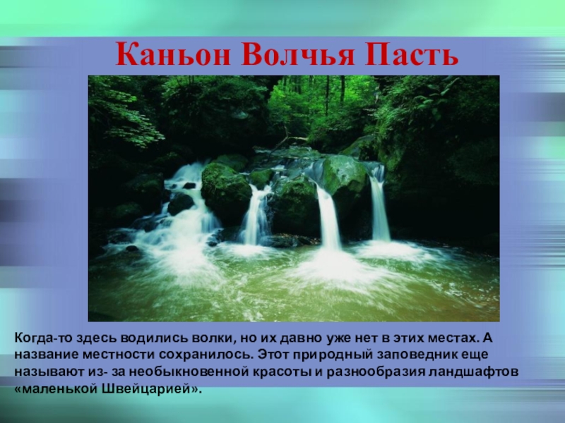 Водились здесь. Каньон Волчья пасть Адлер. Волчья пасть ущелье Сочи. Каньон Волчья пасть на карте. Каньон Волчья пасть Адлер карта.