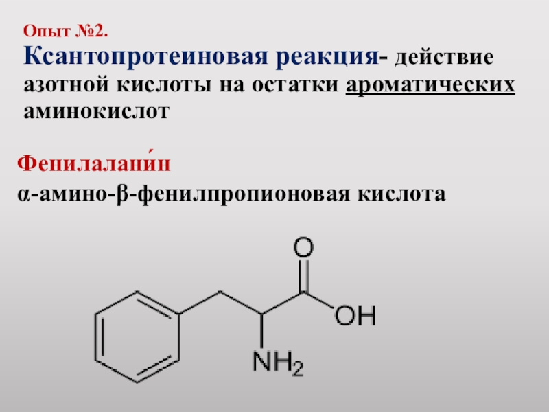 Опыт №2.  Ксантопротеиновая реакция- действие азотной кислоты на остатки ароматических аминокислот Фенилалани́н α-амино-β-фенилпропионовая кислота