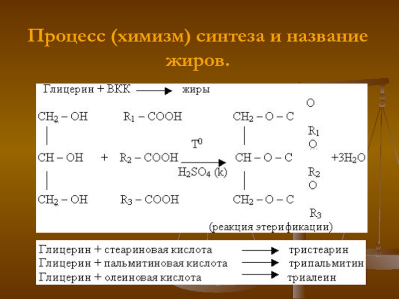 Схема образования жиров