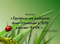 Трудовое воспитание в МДОУ в свете ФГОС