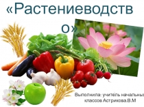 Презентация по окружающему миру на тему Растениеводство (3 класс)