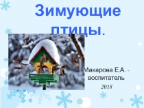 Презентация для ознакомления с окружающим миром Зимующие птицы