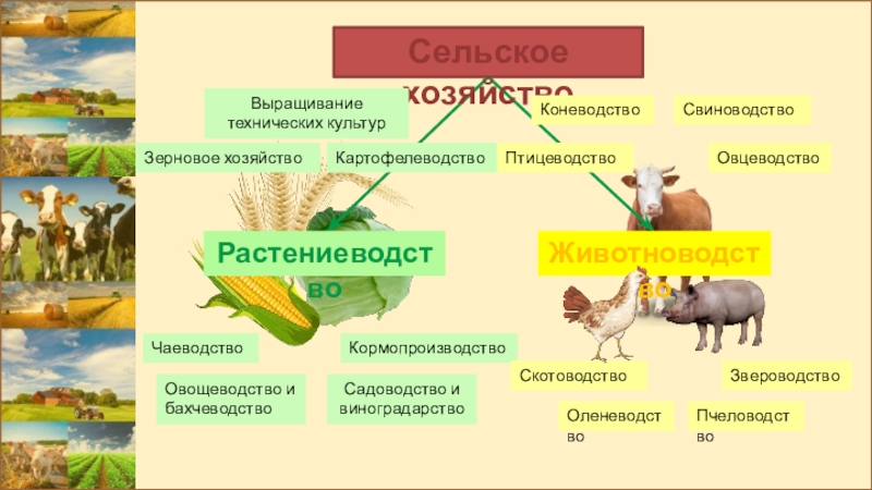 Презентация сельское хозяйство россии 8 класс география