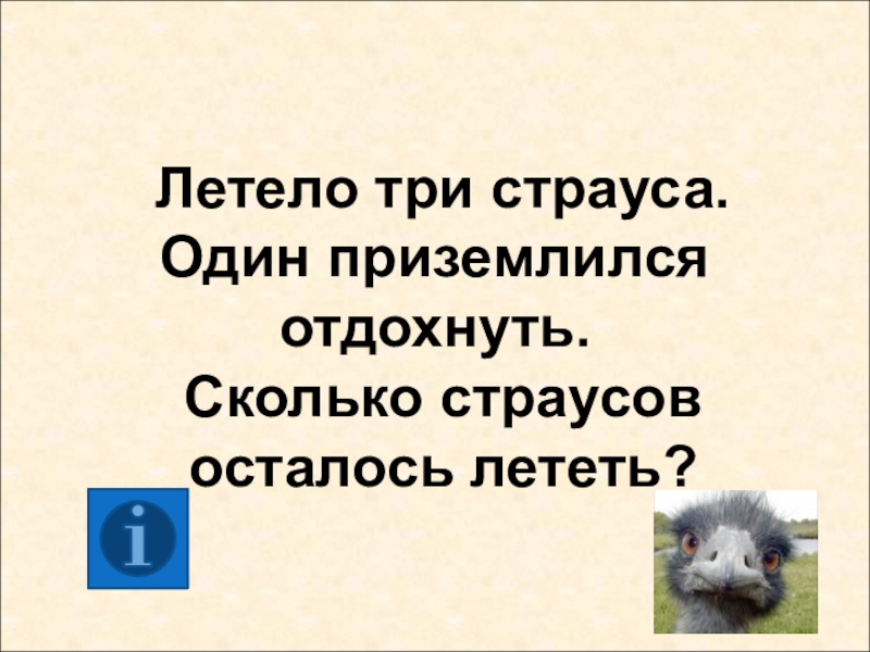 Летели 3. Один глаз один Рог но не носорог. Один глаз один Рог но не носорог ответ на загадку. Один глаз один Рог загадка. Загадка летели три страуса.