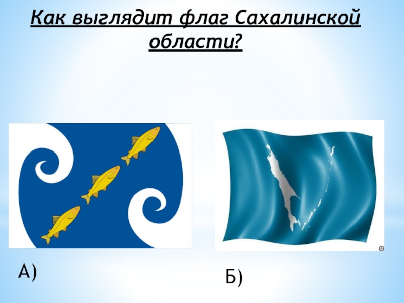 Сахалинская область герб. Флаг Сахалинской области. Флаг и герб Сахалинской области. Флан сахавлинской области. Флаг Сахалинской области области.