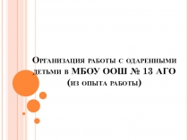 Организация работы с одарёнными детьми в МБОУ ООШ №13 АГО, Свердловская область, г.Асбест