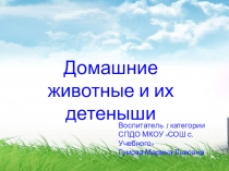 Презентация Домашние животные и их детеныши