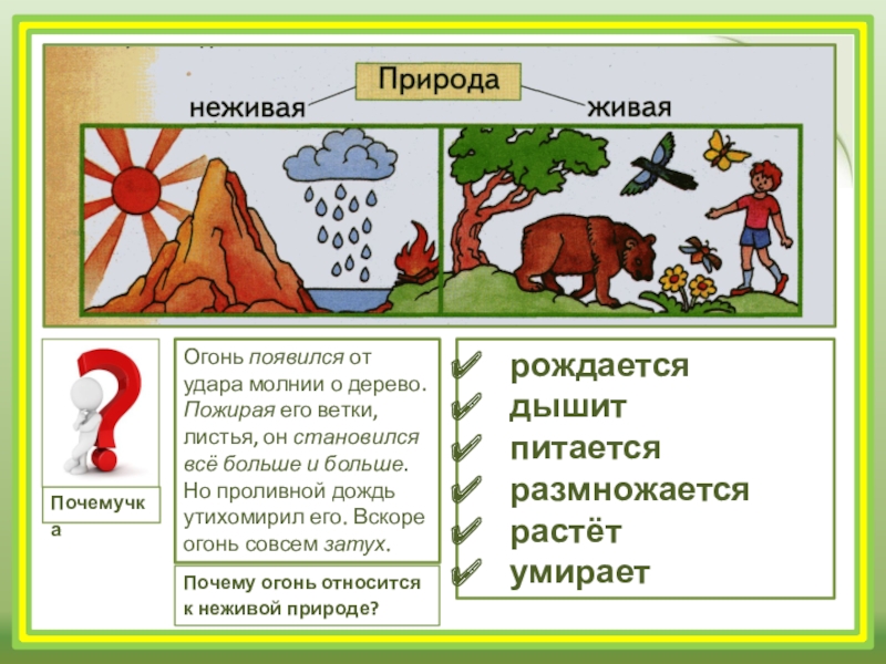 Взаимосвязи между человеком и природой окружающий мир 1 класс школа россии презентация