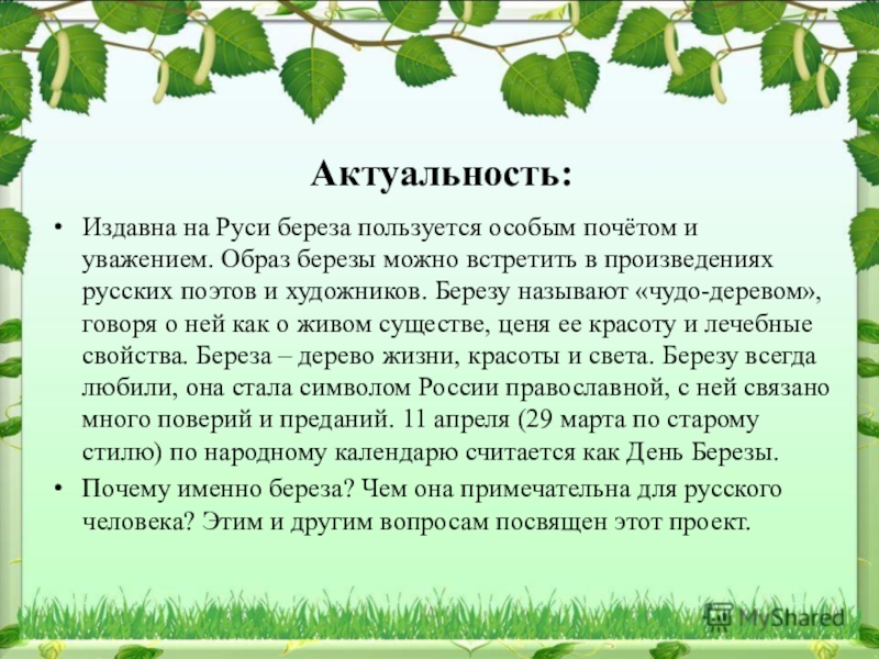 Образ березы в русской литературе проект