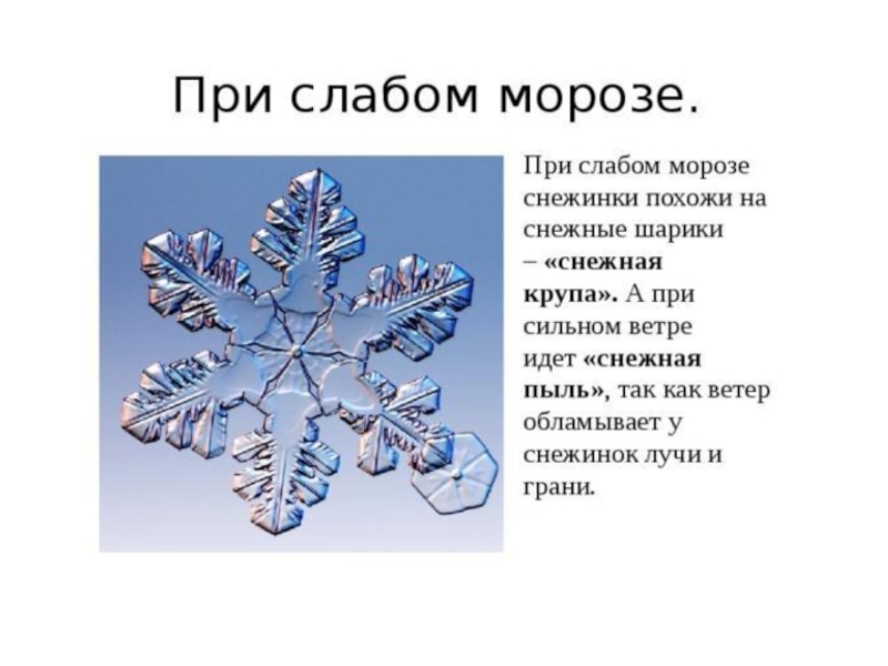 Особенности снежинок. Снежинки. На что похожи снежинки. Сколько лучей у снежинки. Лучи снежинки.