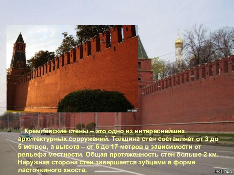 Кремлевские высоты. Высота зубцов стены Московского Кремля. Высота стен Кремля в Москве. Толщина кремлевской стены в Москве. Высота кремлёвской стены в Москве.