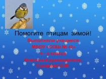 Презентация проекта Птицы (4 класс)