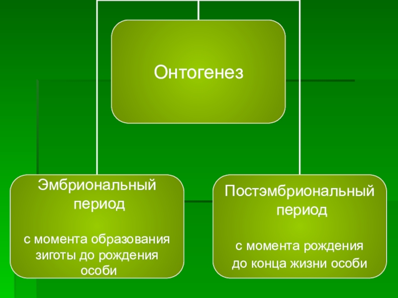 Презентация на тему индивидуальное