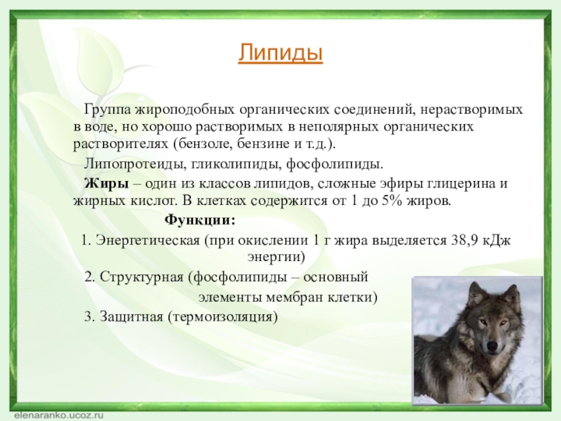 Липиды	 Группа жироподобных органических соединений, нерастворимых в воде, но хорошо растворимых в неполярных органических растворителях (бензоле, бензине