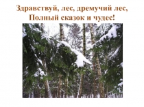 Презентация к уроку литературного чтения по теме: Н.Сладков Клёст и дятел