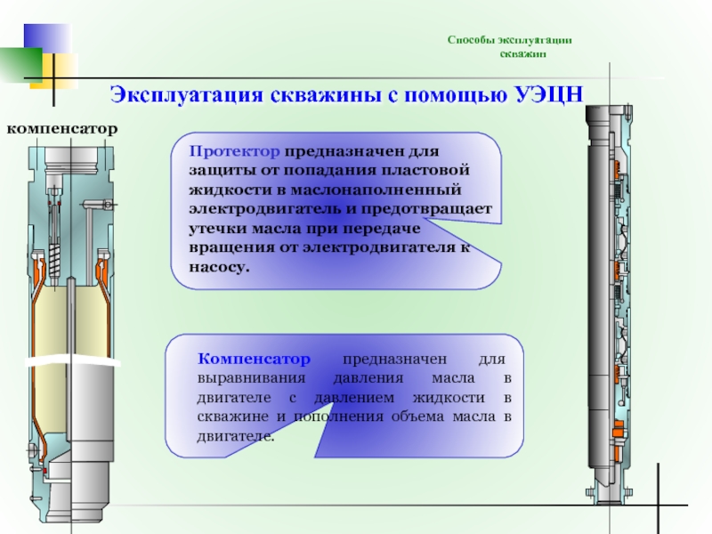 Уэцн. УЭЦН протектор компенсатор. Протектор защиты кабеля УЭЦН. Протектор УЭЦН схема. Протектор коррозии для УЭЦН.