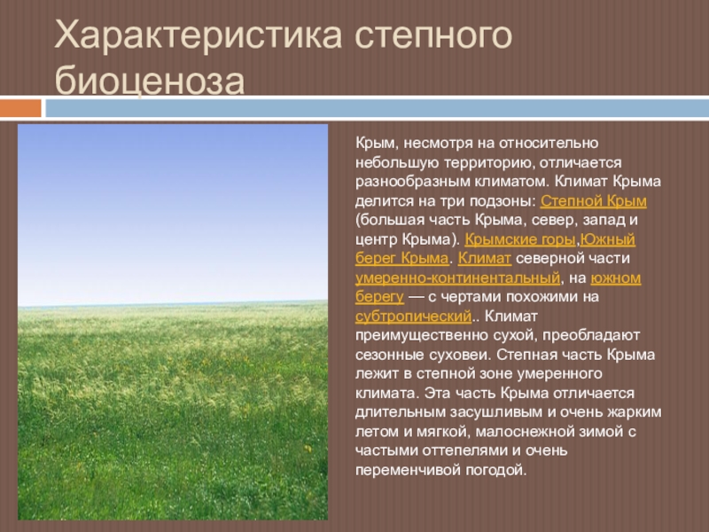 Характеристика степи. Климат степного Крыма. Характеристика степи Крыма.