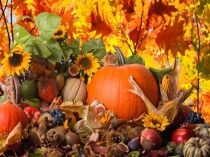 Презентация к НОД по познанию Осень