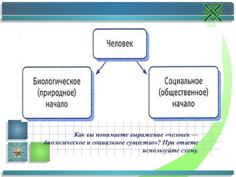 Проект по обществознанию загадка человека 6 класс