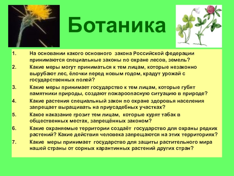 Викторина по биологии 6 класс с ответами презентация