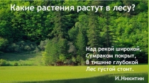 Презентация по окружающему миру на тему Какие растения растут на лугу?