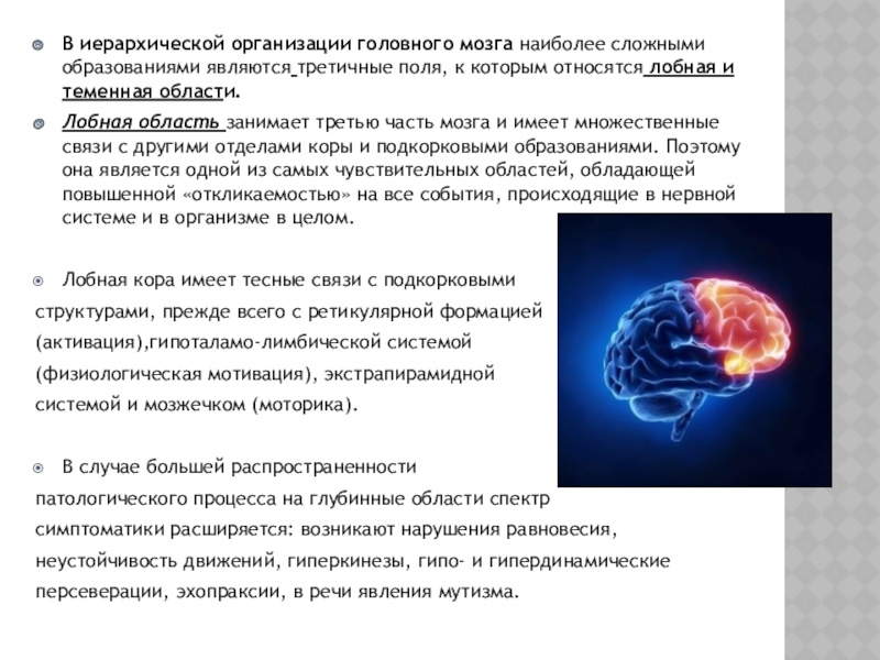 Функциональная локализация