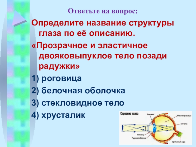 Презентация на тему зрительный анализатор 8 класс биология