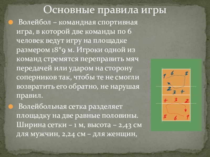 Презентация по физкультуре волейбол 6 класс по физкультуре