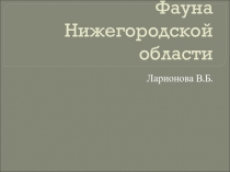 Презентация по биологическому краеведению на тему Фауна Нижегородской области