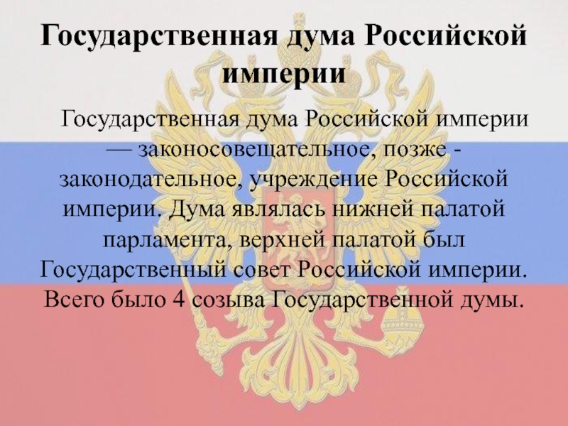 Кто создал проект учреждения государственной думы