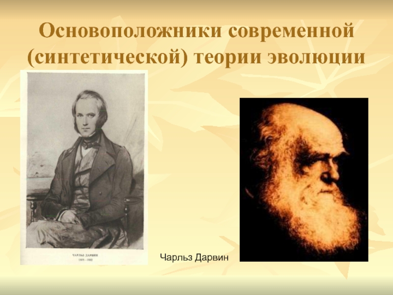 Основоположником современных. Чарльз Дарвин основоположник теории эволюции. Дарвиосновоположник эволюционного учения. Чарлз Дарвин – основоположник учения об эволюции.. Чарльз Дарвин основоположник современной биологии.